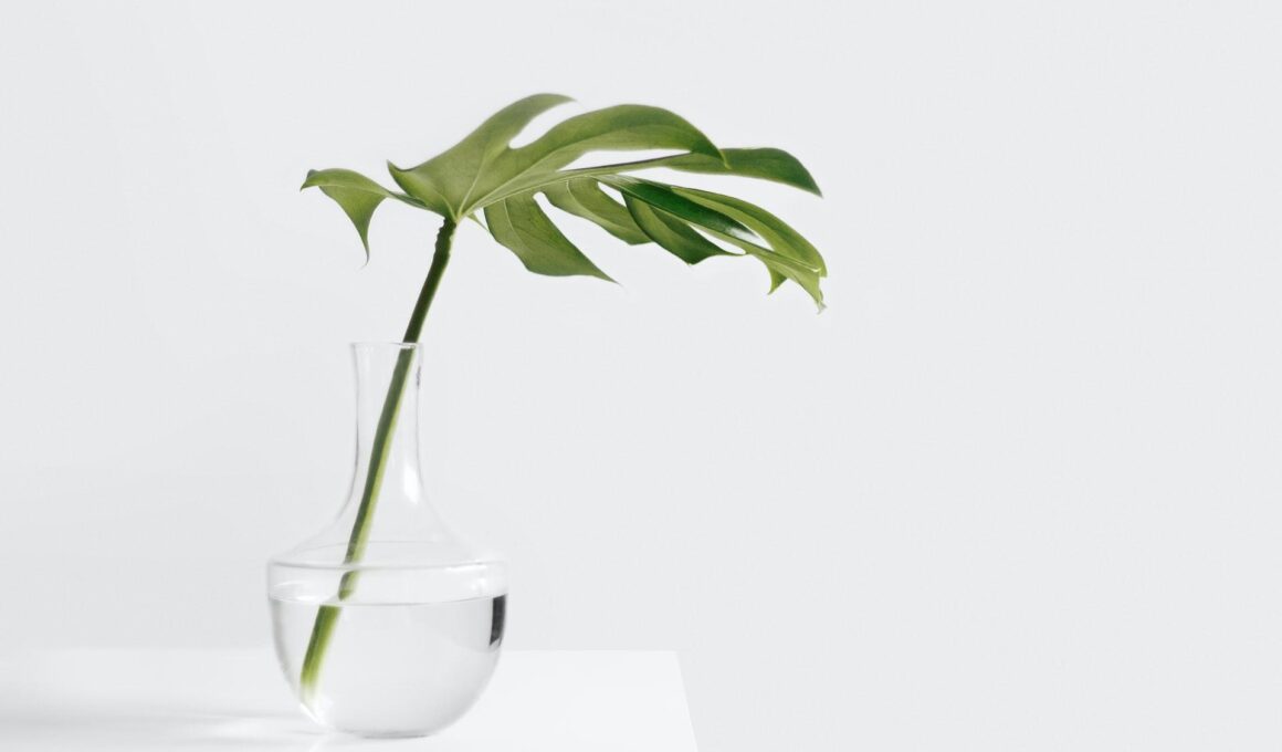 about us travelwayfarer