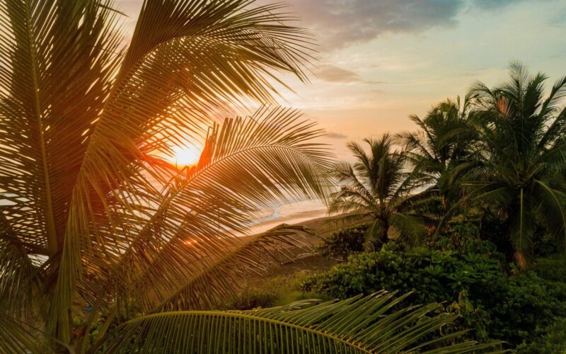 samuel charron 7c7jwyznvlg unsplash