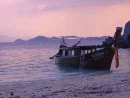 brown and black boat on sea shore during daytime