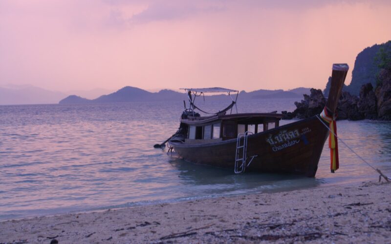 brown and black boat on sea shore during daytime