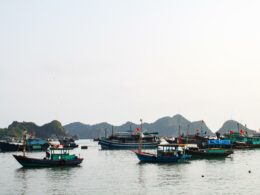 haiphong 12