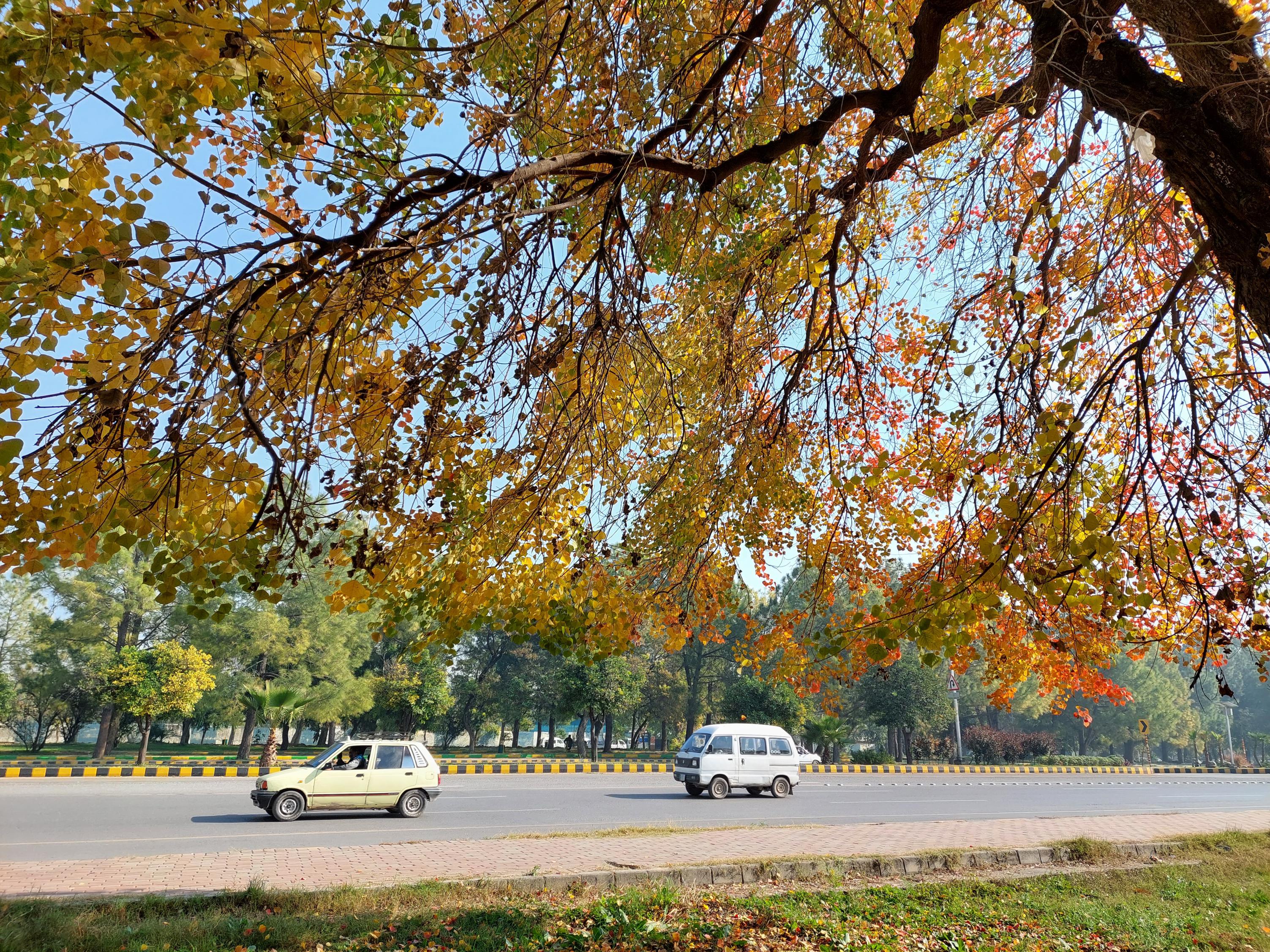  islamabad