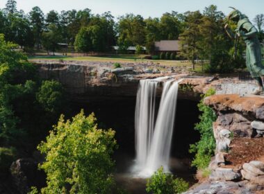 waterfalls near green trees during daytime