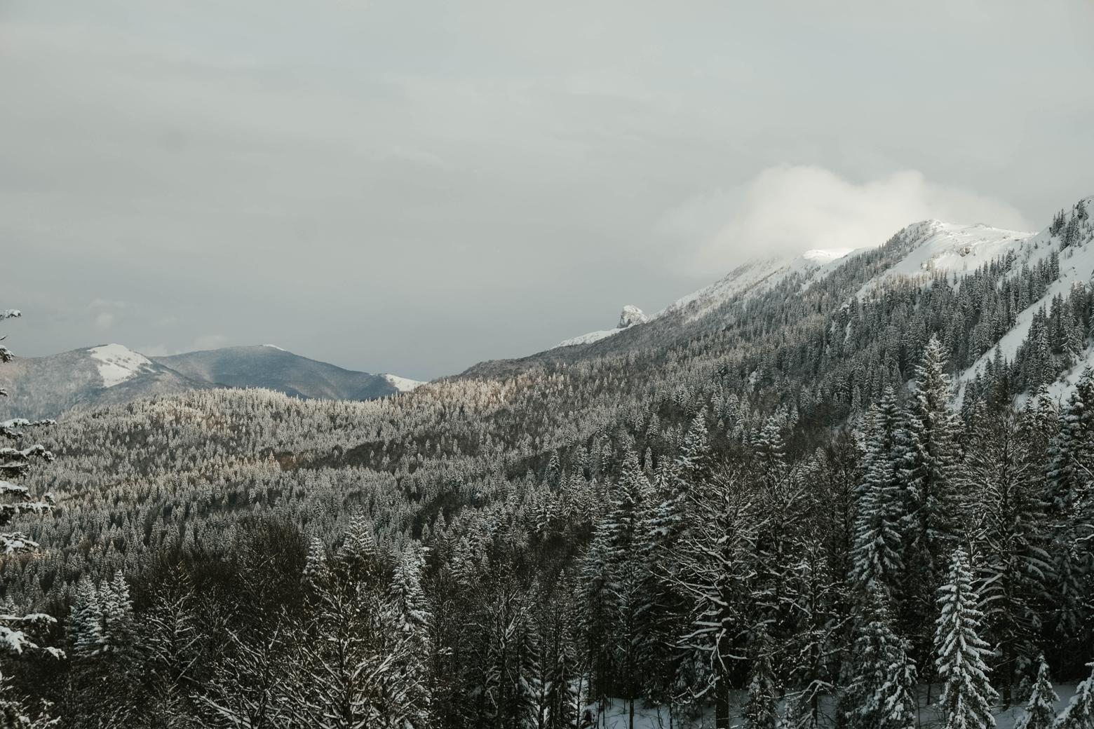 bosnia and herzegovina