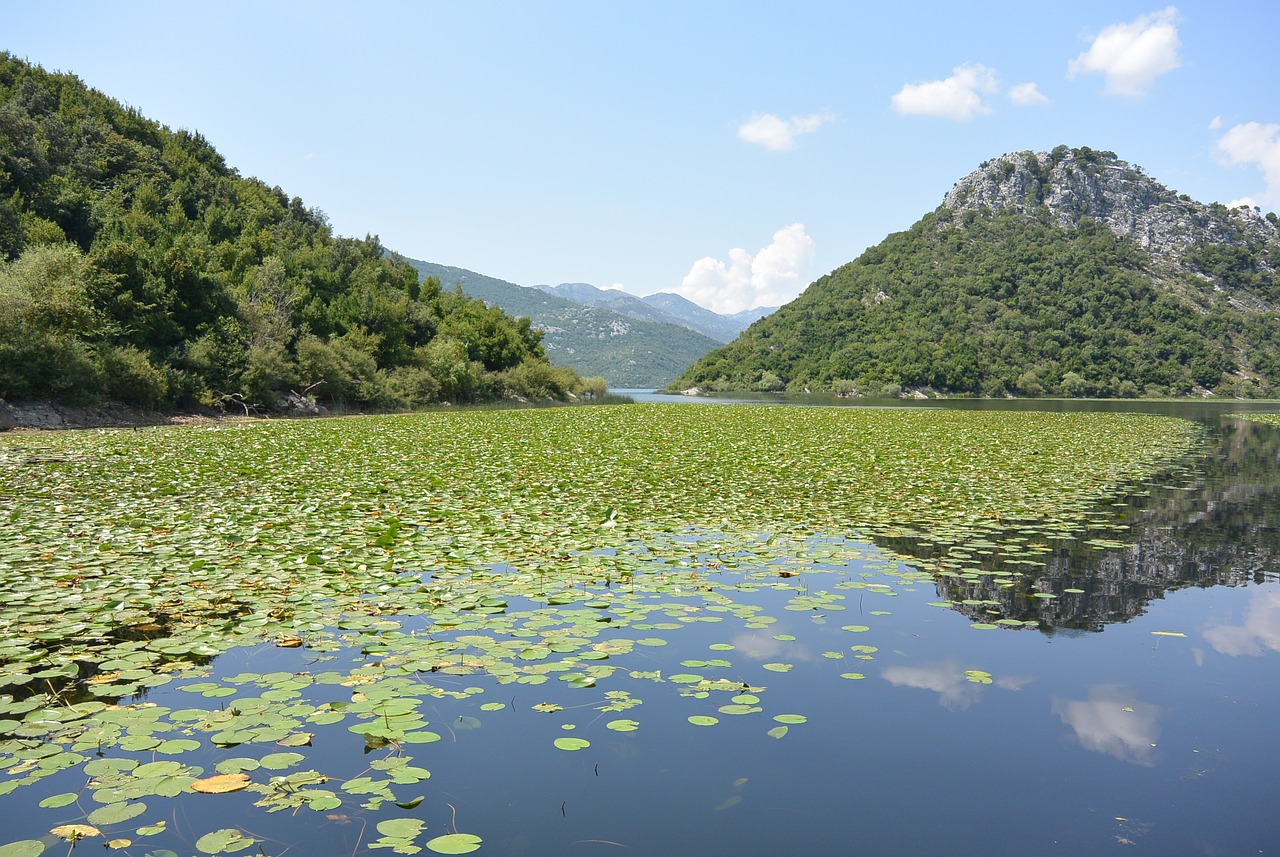 skadar lake, montenegro, journey