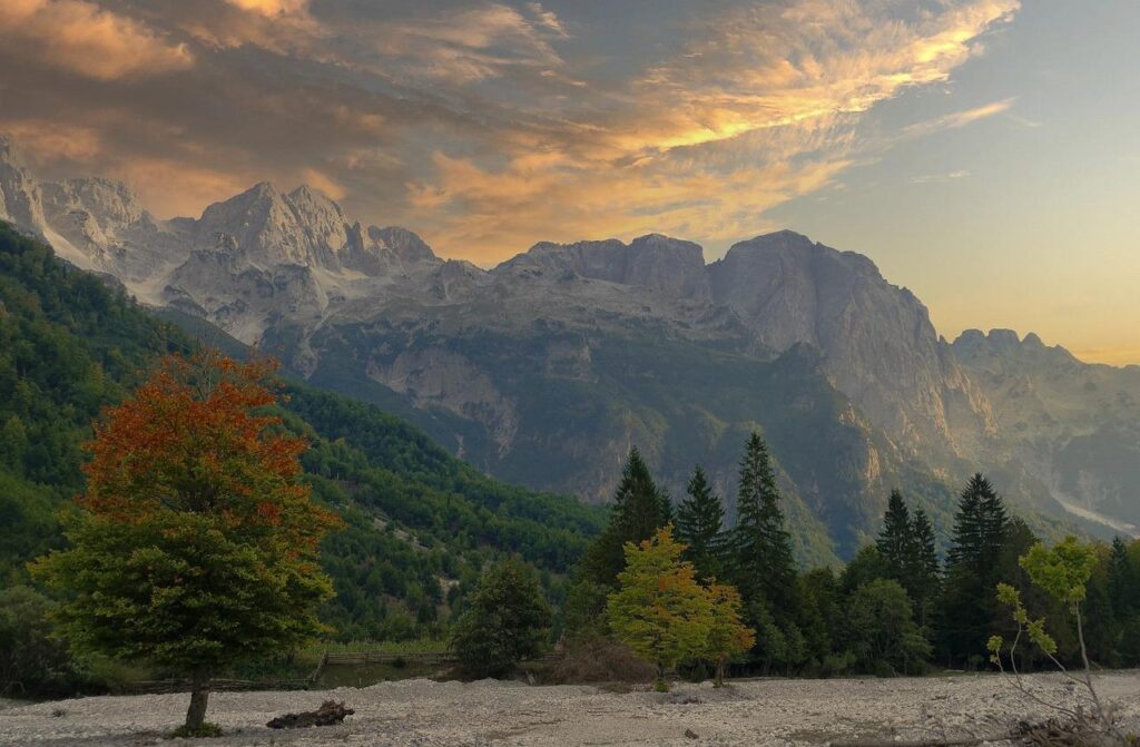 mountain range, trees, autumn