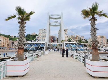 a couple of palm trees sitting on top of a bridge