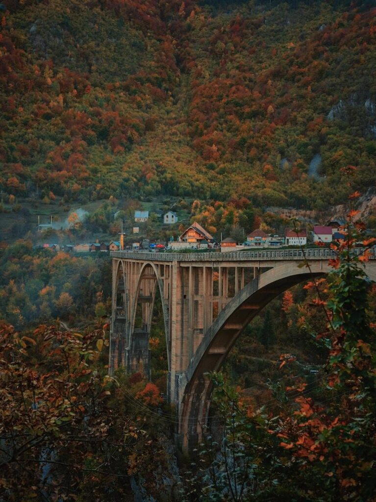 brown concrete bridge