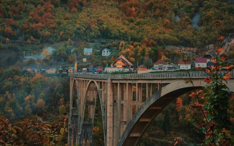 brown concrete bridge