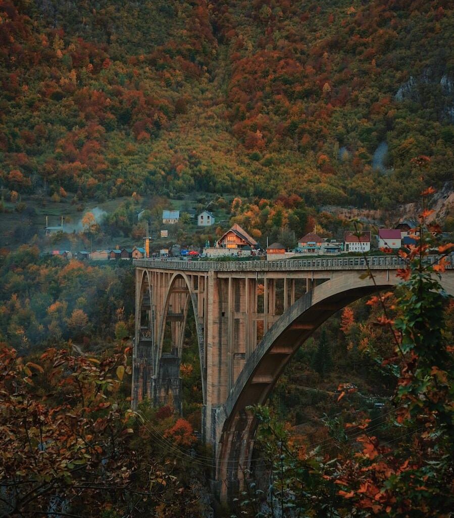 brown concrete bridge