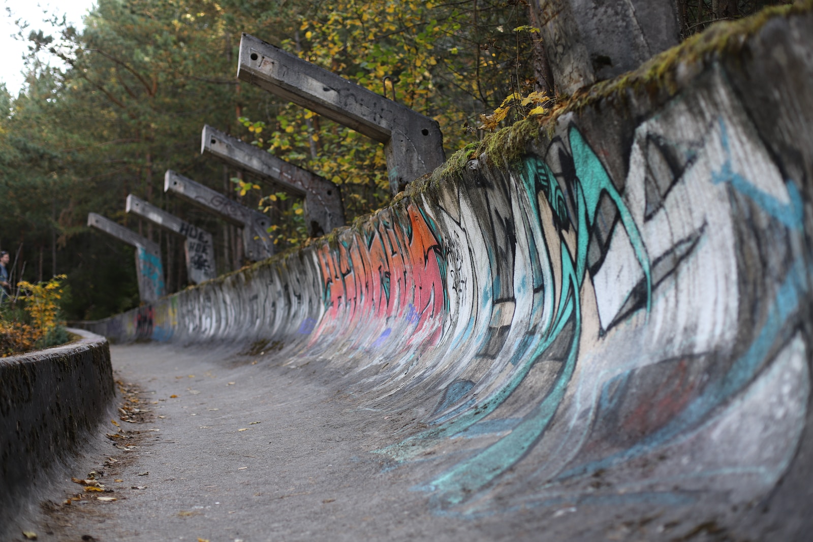 gray and multicolored paintings on concrete pathway surrounded with tall and green trees