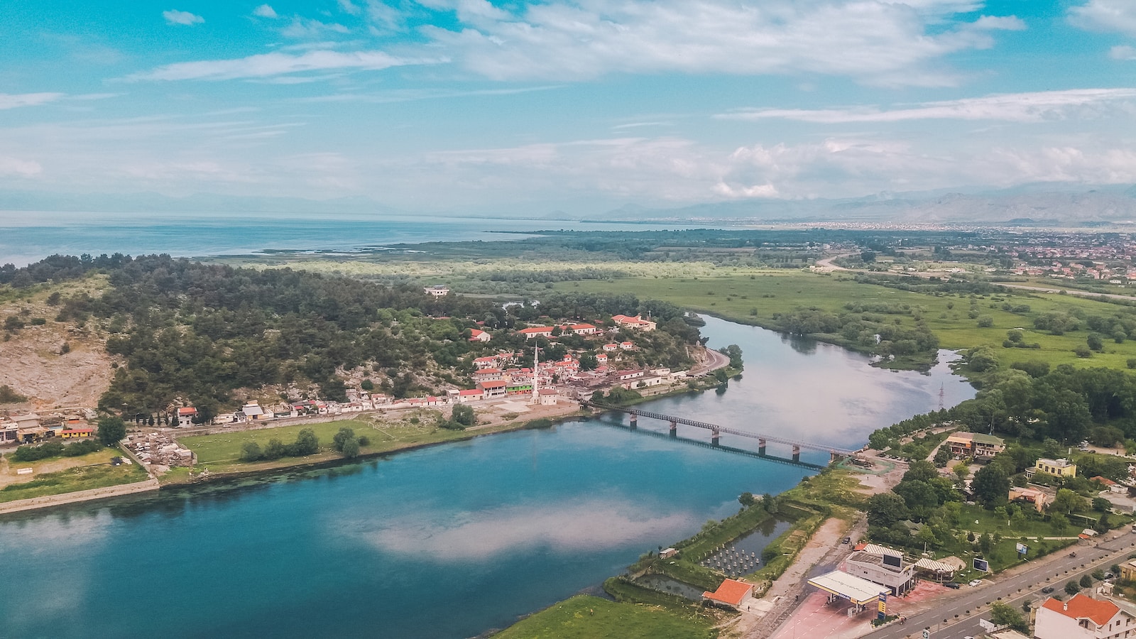 aerial view of green trees and river during daytime