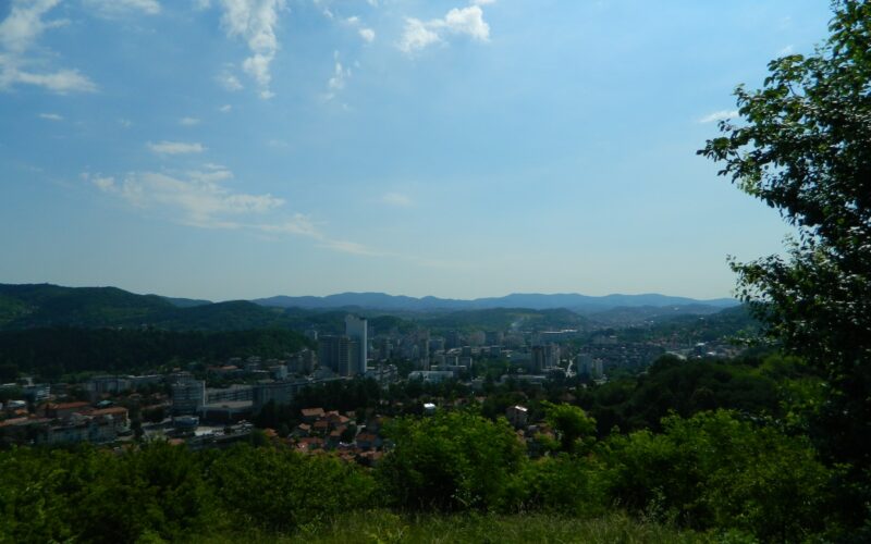 green trees and city buildings under blue sky and white clouds during daytime