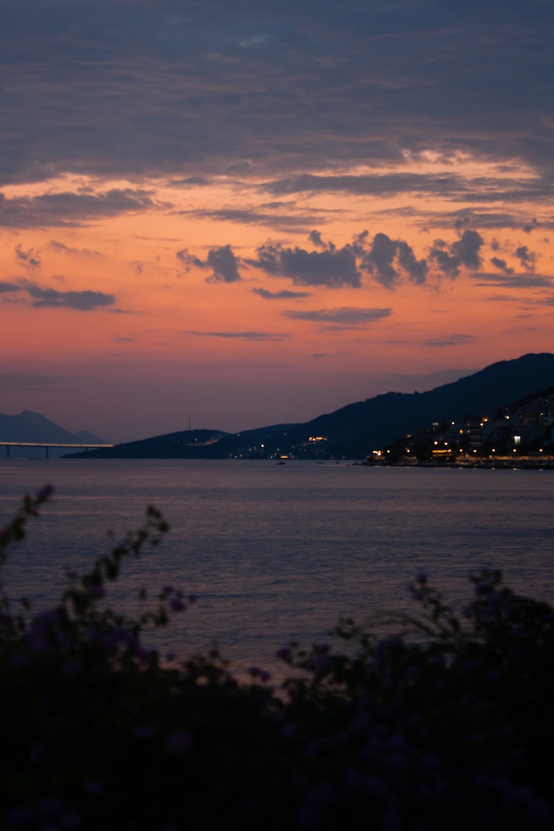 a body of water with a city in the distance