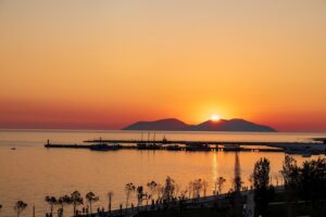 Photo by Valeria Bosi 3 silhouette of trees near body of water during sunset